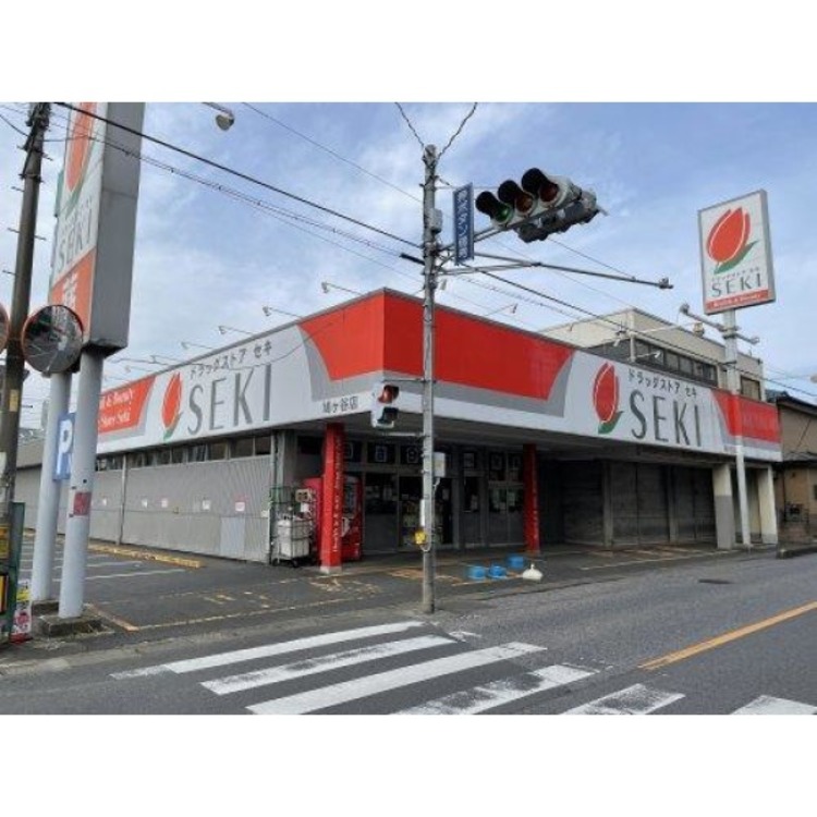 周辺 ドラッグストアセキ鳩ヶ谷店(約500m)