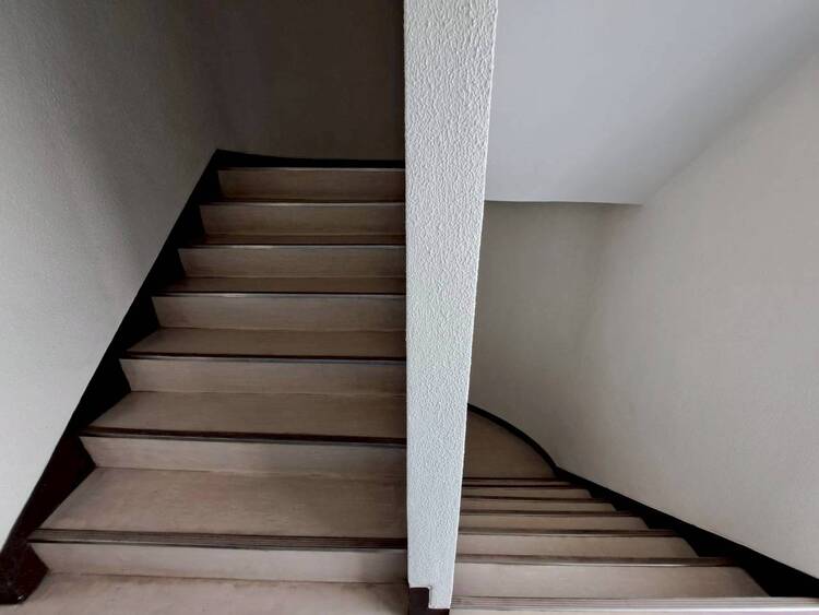 その他 共用部の階段です。明るく清潔に管理されています。