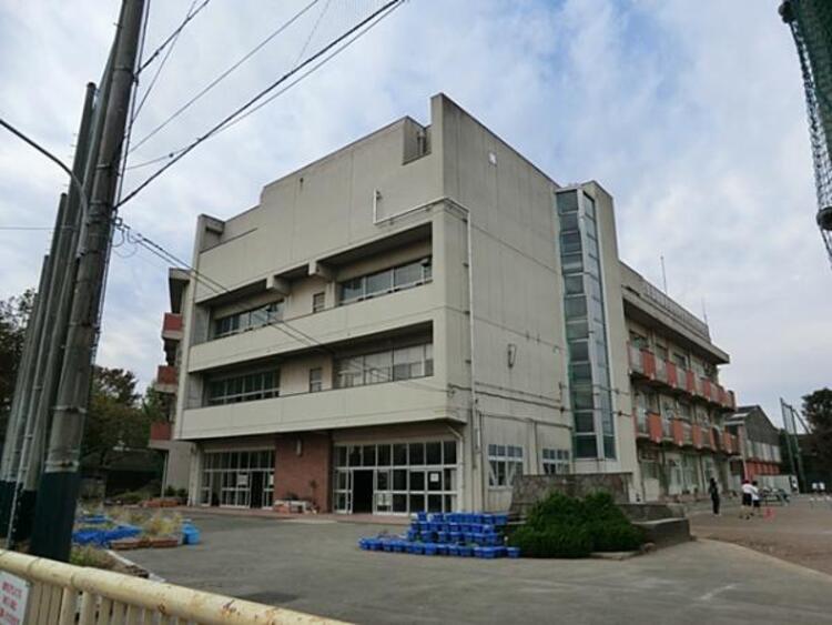 周辺 山王台小学校	300m