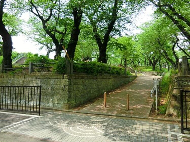 周辺 幸ケ谷公園　430m