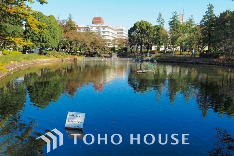 周辺 鹿沼公園　距離650m