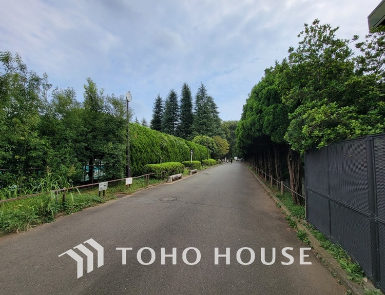 周辺 世田谷区立世田谷公園　距離650m