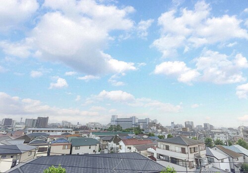 篠崎公園パインマンションの物件画像