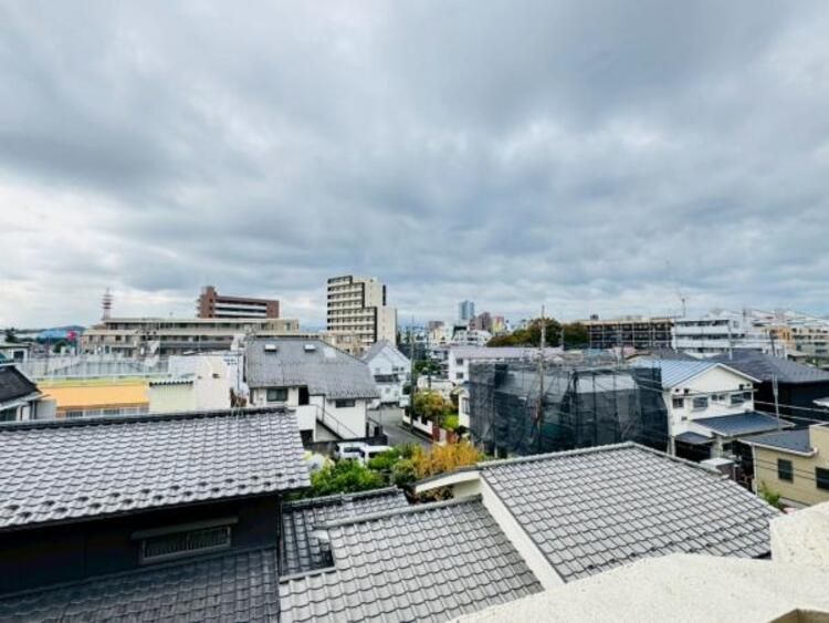 その他 【2025年11月撮影】