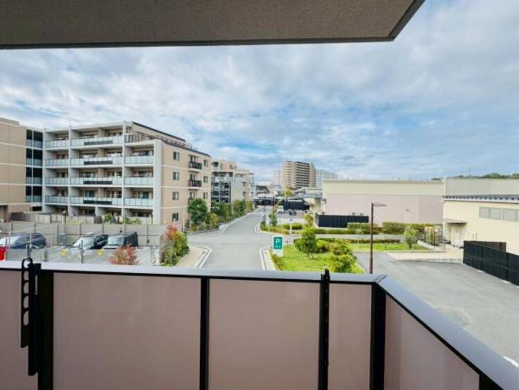 その他 【2025年11月撮影】