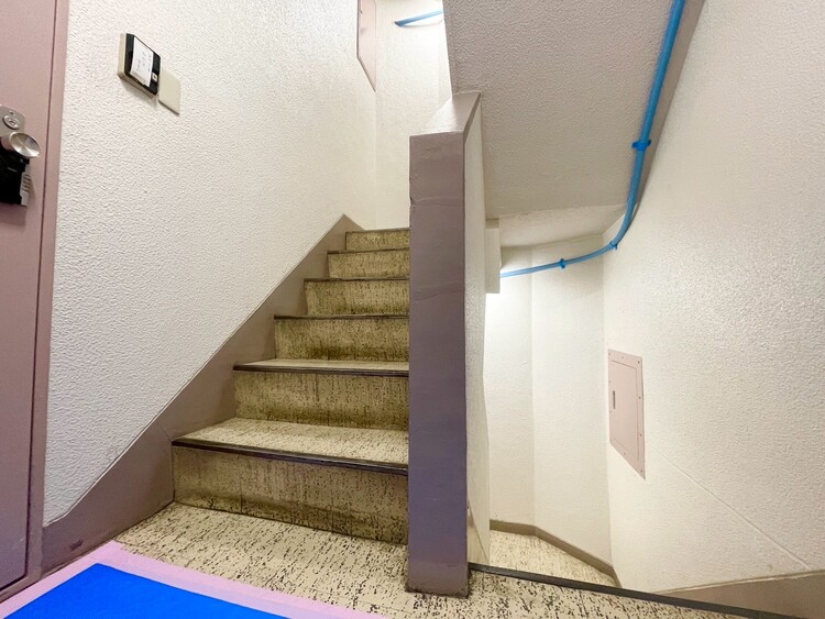 その他 共用部の階段です。明るく清潔に管理されています。