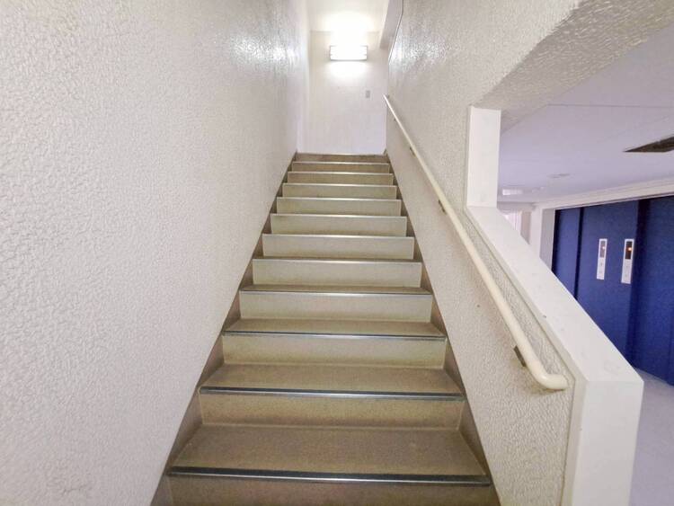 その他 共用部の階段です。明るく清潔に管理されています。
