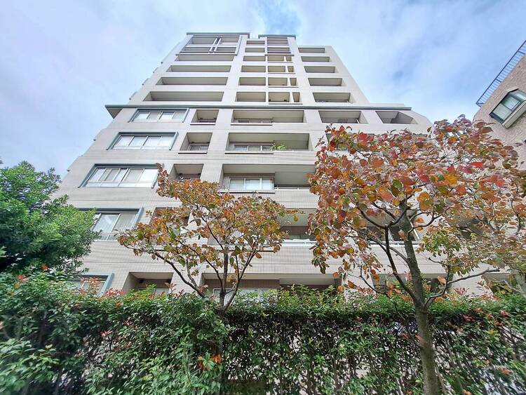 その他 忙しく過ぎゆく日常を置き去るほど、ゆったりした時間が流れる住環境。