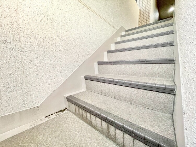 その他 共用部の階段です。明るく清潔に管理されています。