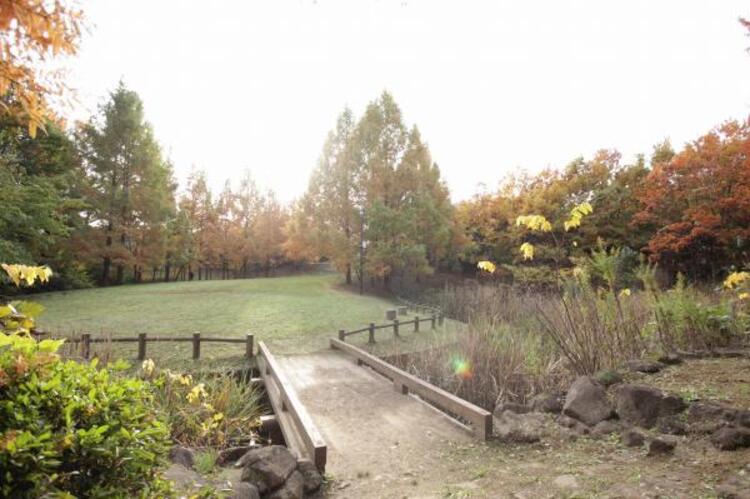 周辺 ゆりのき台中央公園迄340ｍ