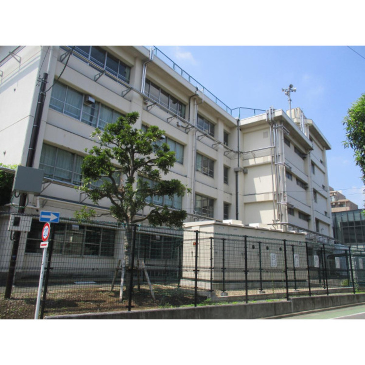 周辺 練馬区立石神井東中学校(約1300m)