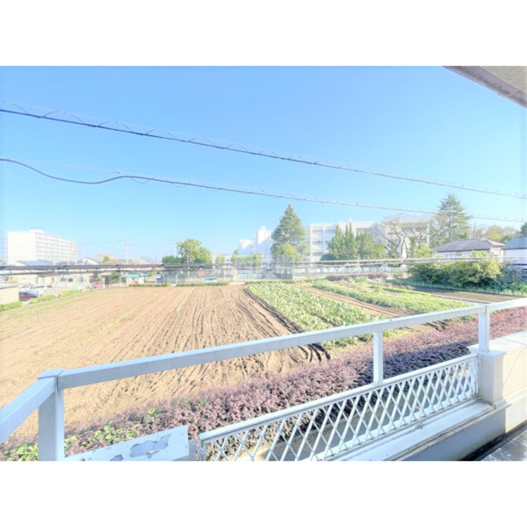 その他 バルコニーから望む、開放的な眺望