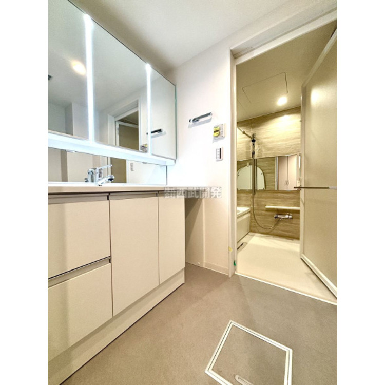 洗面 令和7年11月1日撮影