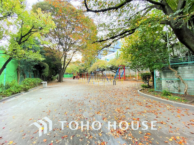 周辺 三田公園 　距離400ｍ