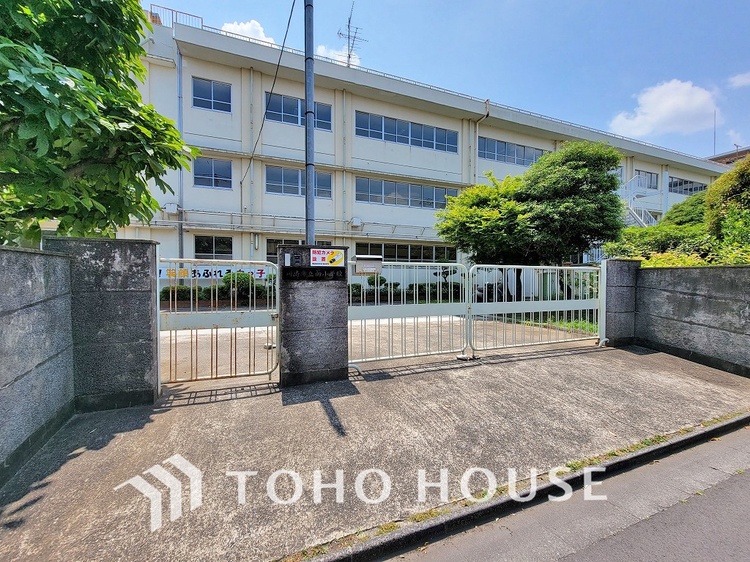 周辺 川崎市立向小学校　距離230m