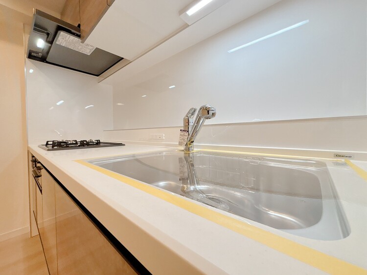 居間 ひとつひとつの空間に宿した機能性、そして美意識。