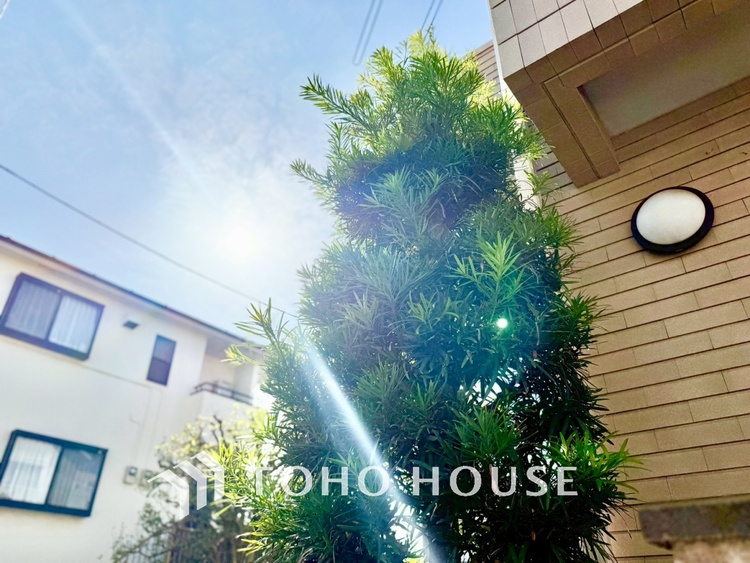 外観 【隠された美しさ】流麗な音楽が流れているような繊細でいながら整然かつ堅牢なこの空間。この空間は確かに美しい。しかし、そこには美しさ以上のものが隠されている。