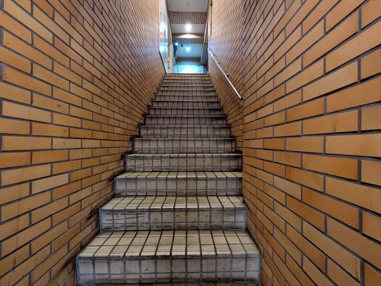 設備 共用部の階段です。明るく清潔に管理されています。