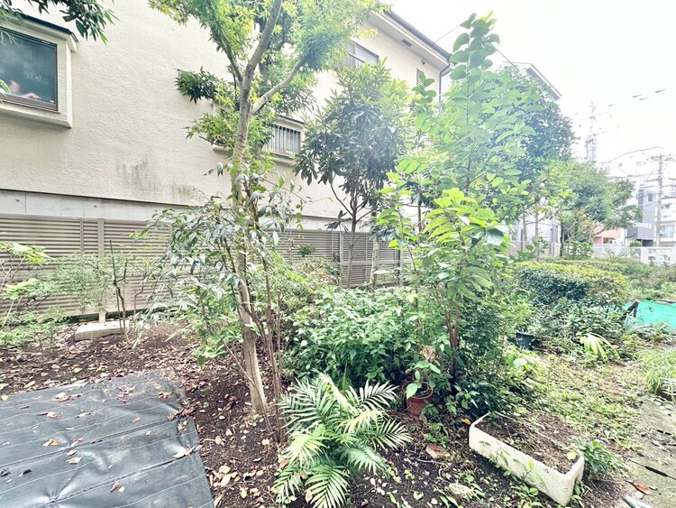 バルコニー 頬をなでる、優しい風を感じることが出来ます。