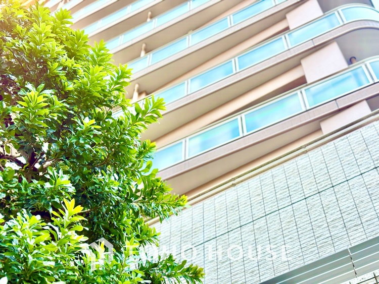 外観 ほんの少しのこだわり。ちょっとした色使いがその家がもつ雰囲気、趣（おもむき）を携え、暮らす家族や訪ねてくる友人・知人に新鮮な香りを運んできます。