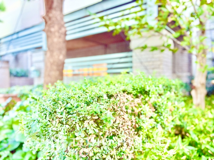 外観 ほんの少しのこだわり。ちょっとした色使いがその家がもつ雰囲気、趣（おもむき）を携え、暮らす家族や訪ねてくる友人・知人に新鮮な香りを運んできます。