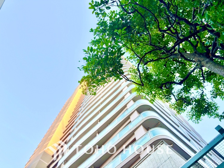 外観 ほんの少しのこだわり。ちょっとした色使いがその家がもつ雰囲気、趣（おもむき）を携え、暮らす家族や訪ねてくる友人・知人に新鮮な香りを運んできます。