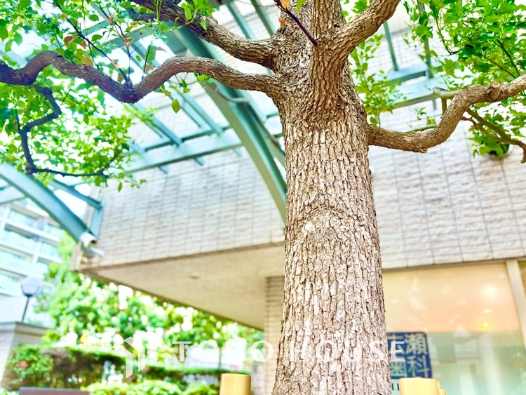 外観 ほんの少しのこだわり。ちょっとした色使いがその家がもつ雰囲気、趣（おもむき）を携え、暮らす家族や訪ねてくる友人・知人に新鮮な香りを運んできます。