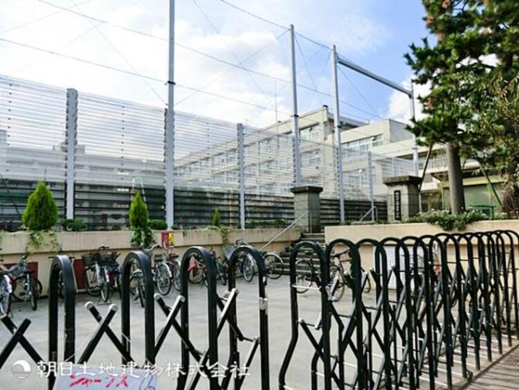 周辺 綱島東小学校1100ｍ