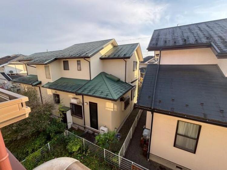 その他 【2025年11月撮影】