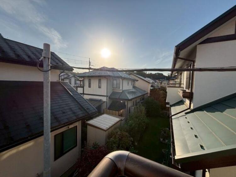 その他 【2025年11月撮影】