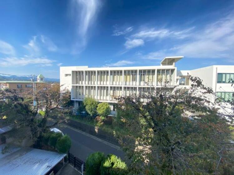 その他 【2025年11月撮影】