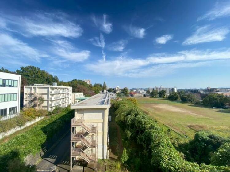 その他 【2025年11月撮影】