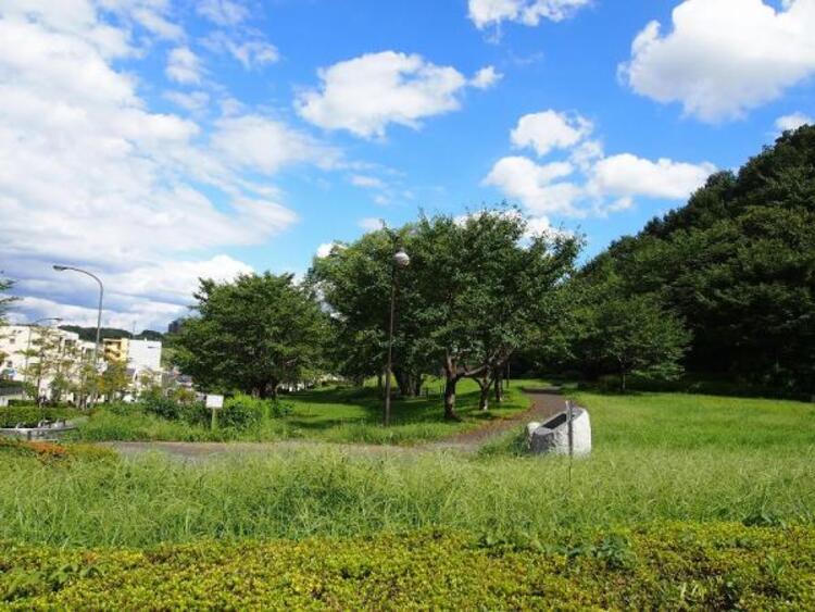 周辺 宇津貫公園迄820ｍ