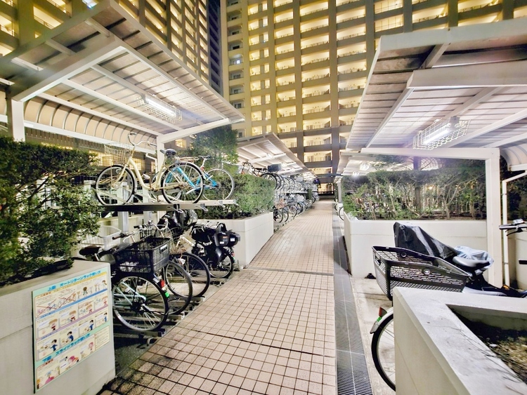 設備 整理整頓された駐輪場で、管理体制の良好さがうかがえます。