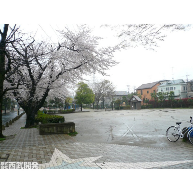 周辺 中丸公園(約380m)