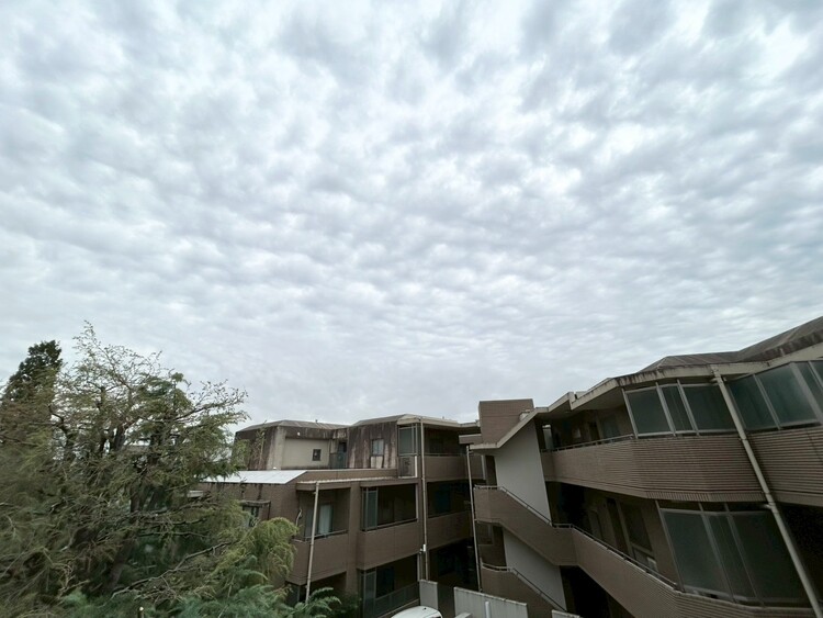 その他 陽当たり・通風・開放感に恵まれた環境です。