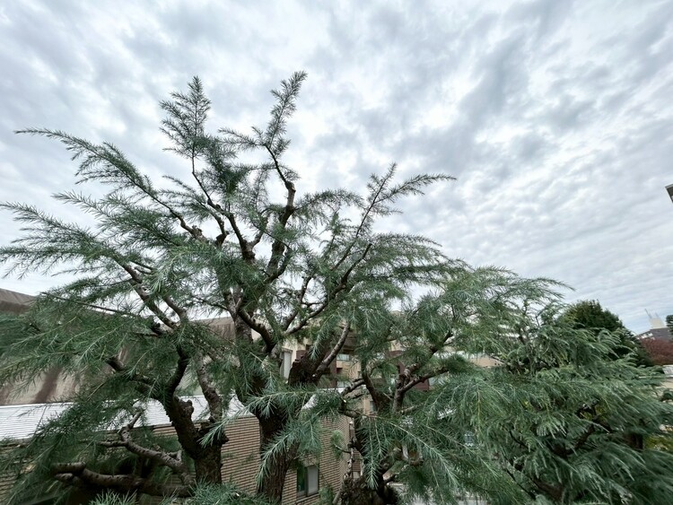 その他 眺望や窓からの景色が良いと、家で過ごす時間も快適です。