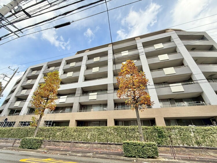 その他 忙しく過ぎゆく日常を置き去るほど、ゆったりした時間が流れる住環境。