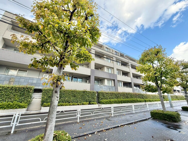 その他 忙しく過ぎゆく日常を置き去るほど、ゆったりした時間が流れる住環境。