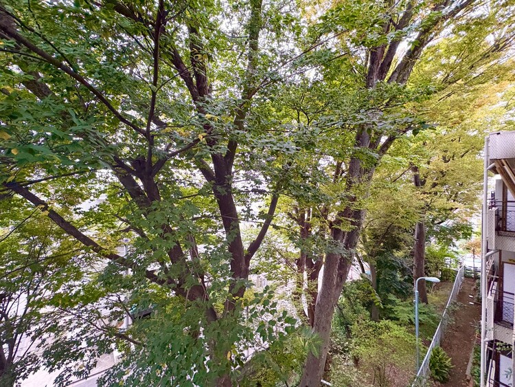 その他 眺望や窓からの景色が良いと、家で過ごす時間も快適です。