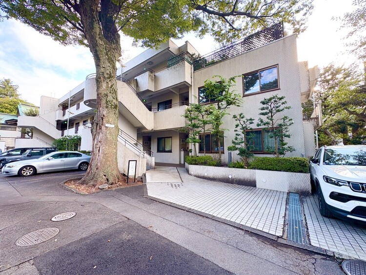 その他 上質感漂う玄関アプローチです。