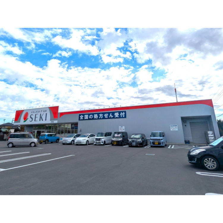 周辺 ドラッグストアセキ(約300m)