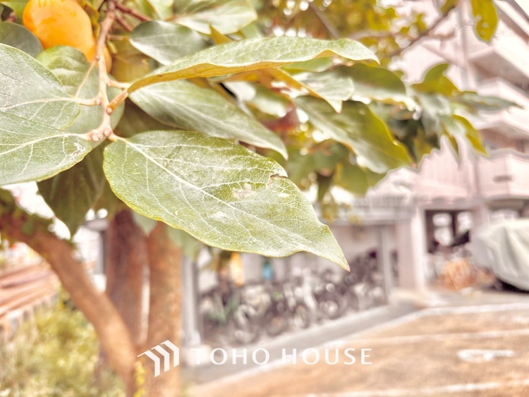 外観 ほんの少しのこだわり。ちょっとした色使いがその家がもつ雰囲気、趣（おもむき）を携え、暮らす家族や訪ねてくる友人・知人に新鮮な香りを運んできます。