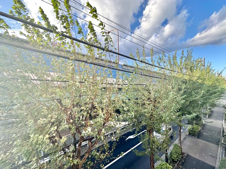 バルコニー 頬をなでる、優しい風を感じることが出来ます。