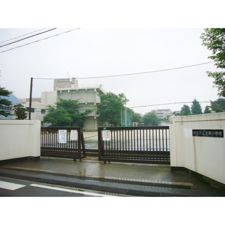 周辺 新座市立栗原小学校(約220m)
