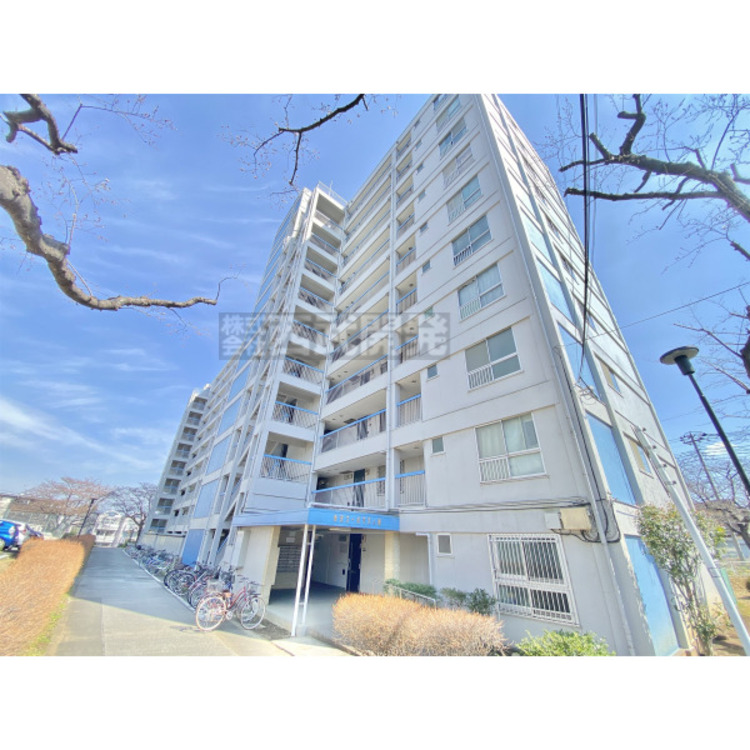 外観 陽当りや建物を体感してください