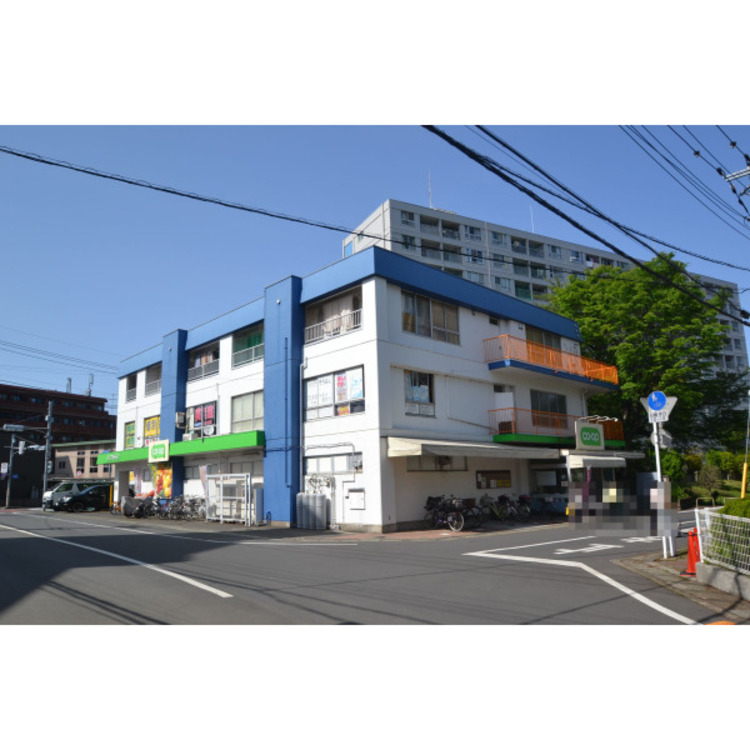 周辺 ミニコープ(約260m)