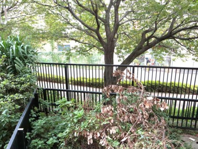 その他 この街ならではの美しい風景と、ここから紡がれる物語が始まります。