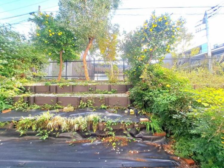 その他 この街ならではの美しい風景と、ここから紡がれる物語が始まります。専用庭付き(使用料無償）