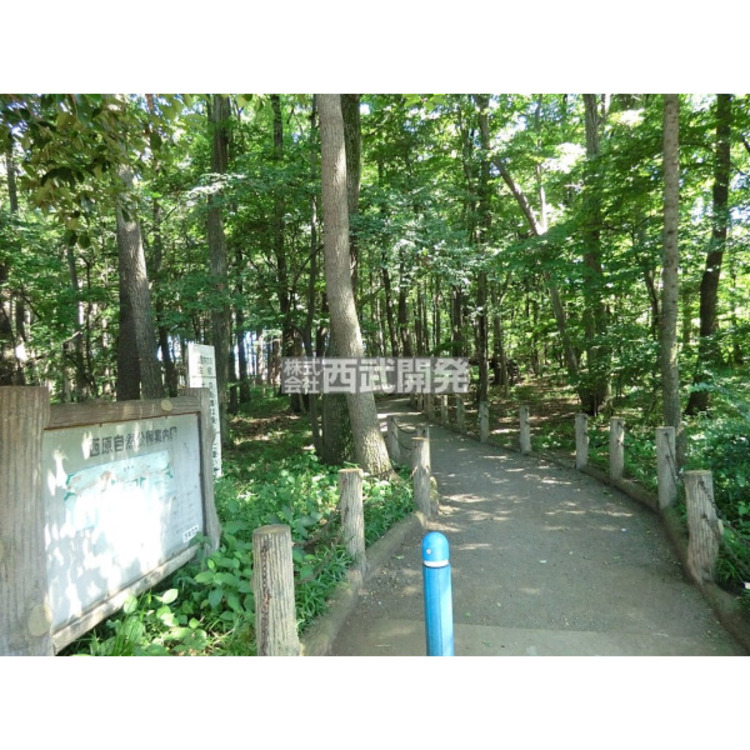 周辺 西原自然公園(約660m)